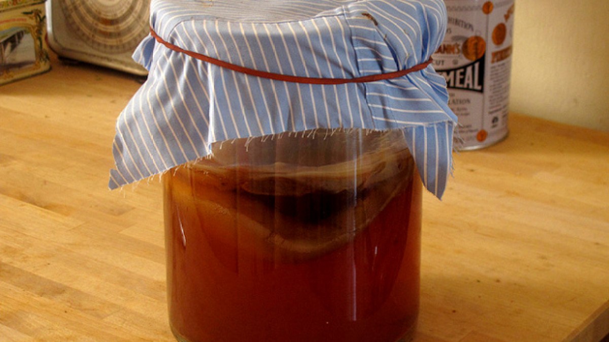 The Picky Eater: KOMBUCHA SOLUTIONS