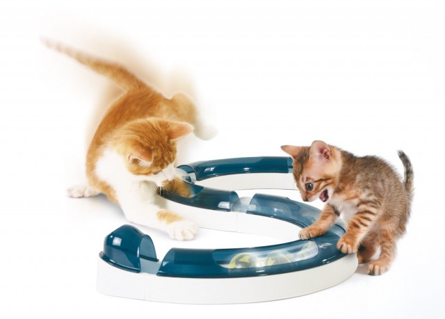 cat play circuit