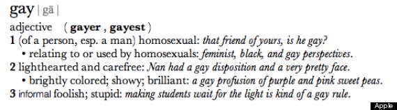 chaser gay definition