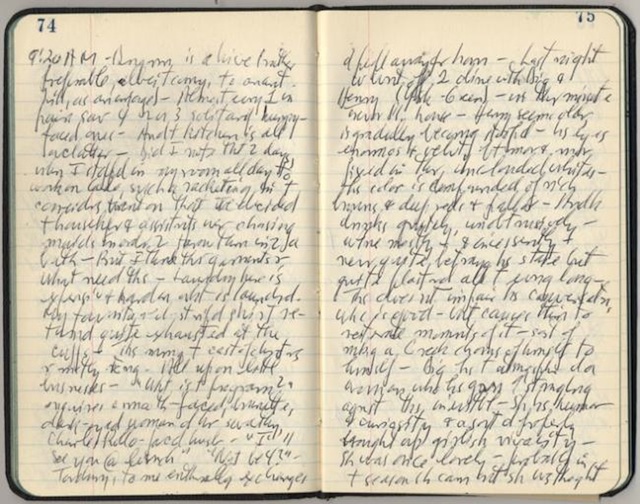 journaling-with-bad-handwriting