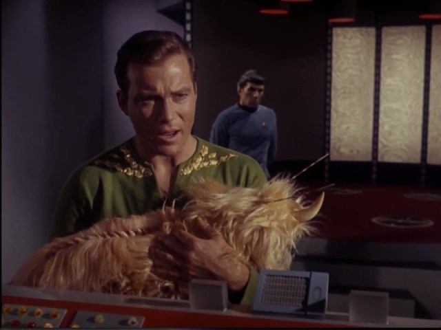 Spock: Where would you go to elude a mass search? Kirk: To our secret bedroom with the unicorn puppy.