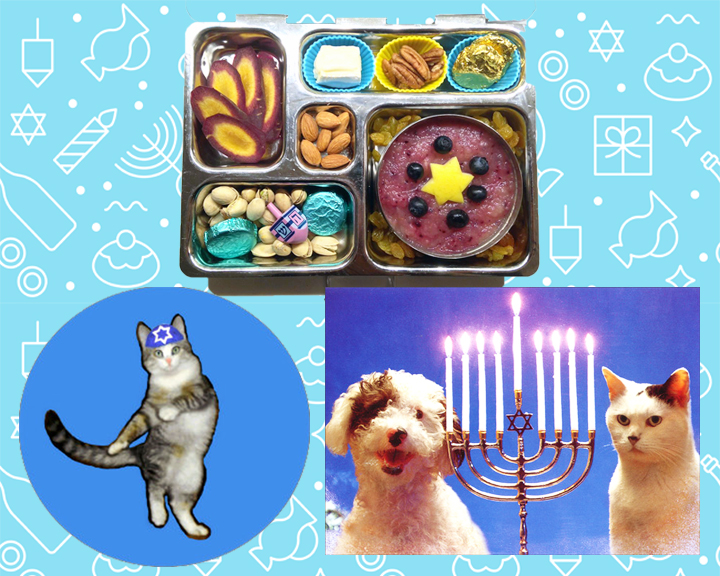 Animals spotted enjoying Hanukkah treats this holiday season