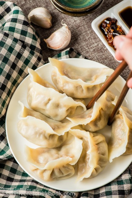 Mom's Best Pork Dumplings - Omnivore's Cookbook