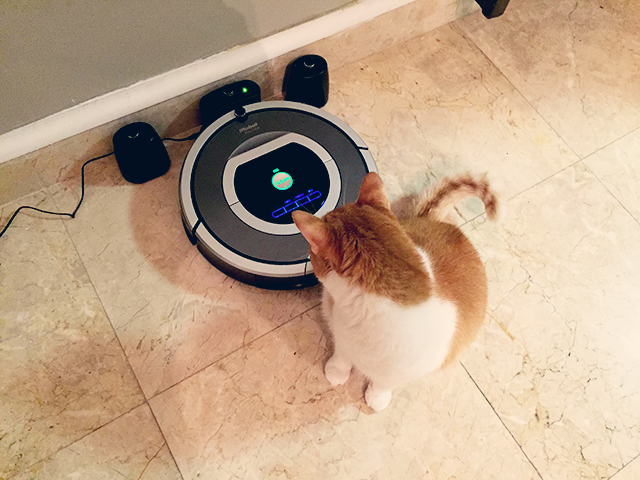 We're All About It: Roomba Is The WALL-E To My EVE, I Just Want to Hold ...