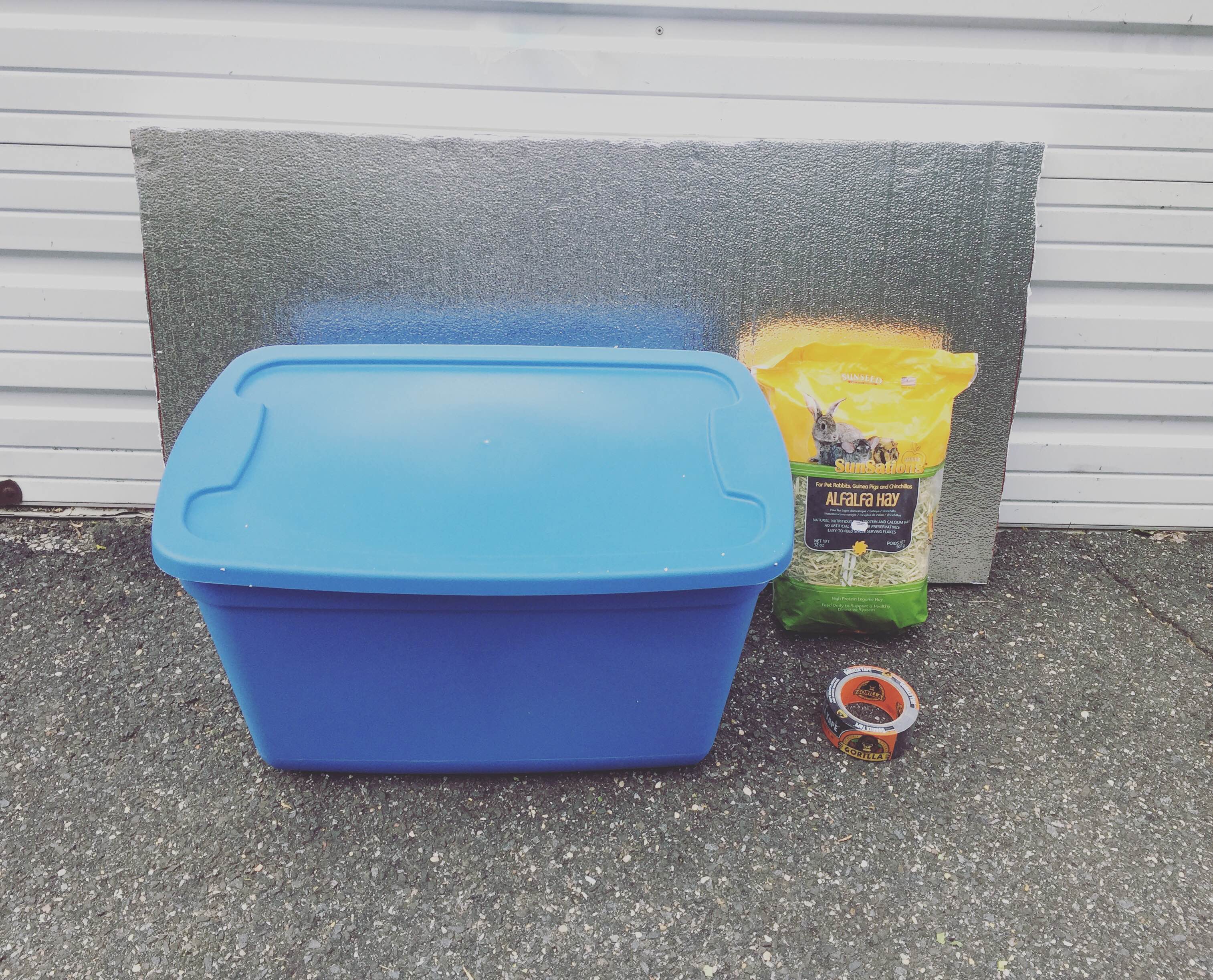 Save a Feral Cat s Life With a 15 DIY Winter Shelter Autostraddle