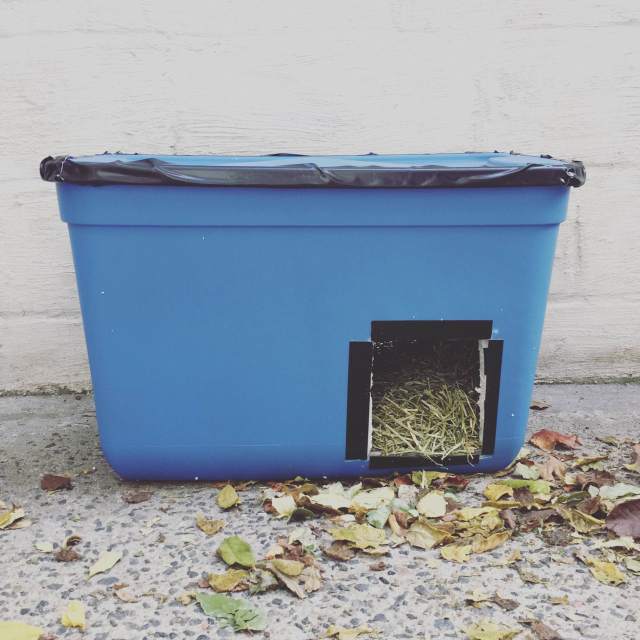 Save a Feral Cat's Life With a $15 DIY Winter Shelter