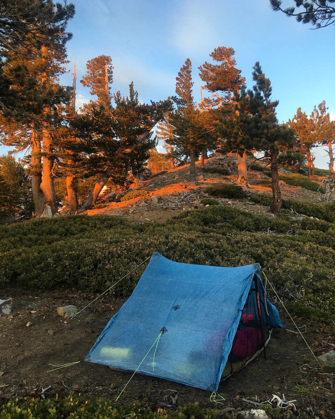 Why I Got Off The Pacific Crest Trail After 454 Miles Instead Of   IMG 9051 