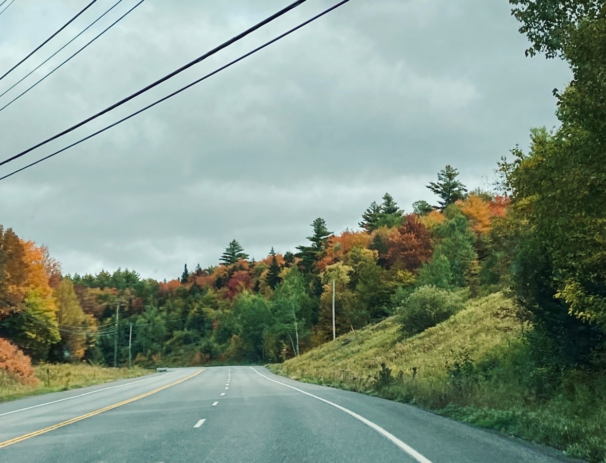 photo of an empty road that curves into the distance. trees with colorful autumn leaves line the road and a handful of grey clouds hang low on the horizon.