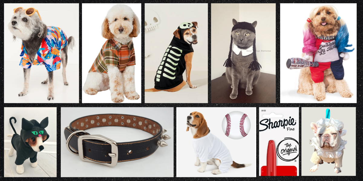 96 Dog wif hat ideas  dog icon, dog images, dog memes