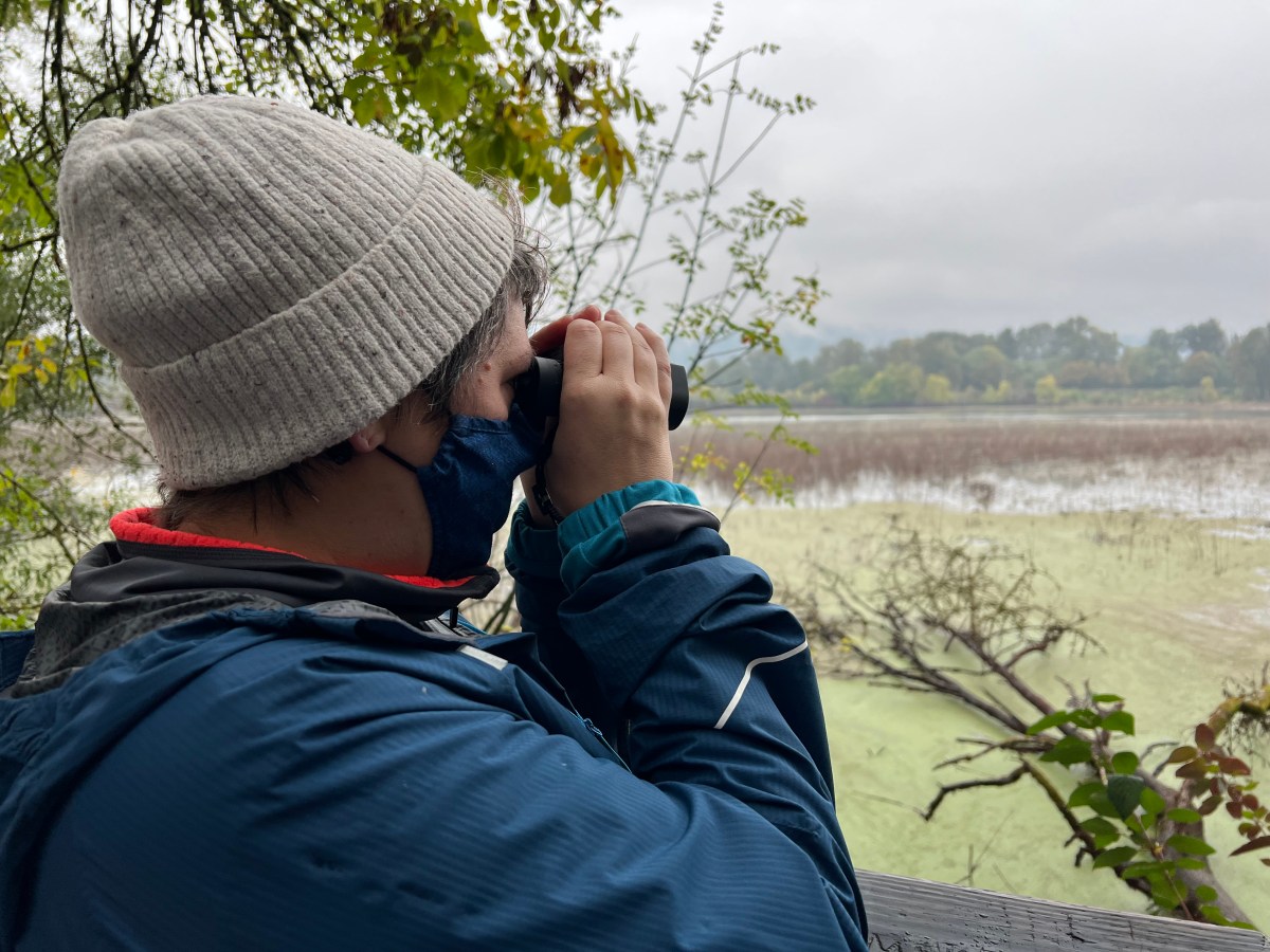 A person in a wool hat, blue mask, and blue raincoat holds a pair of binoculars close to their face to try and spot a specific bird across the lake.