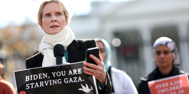 Cynthia Nixon Joins Hunger Strike For Ceasefire In Gaza Autostraddle 7054