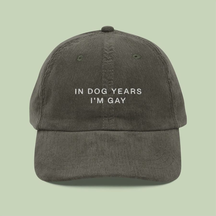 a hat that says In Dog Years I'm Gay