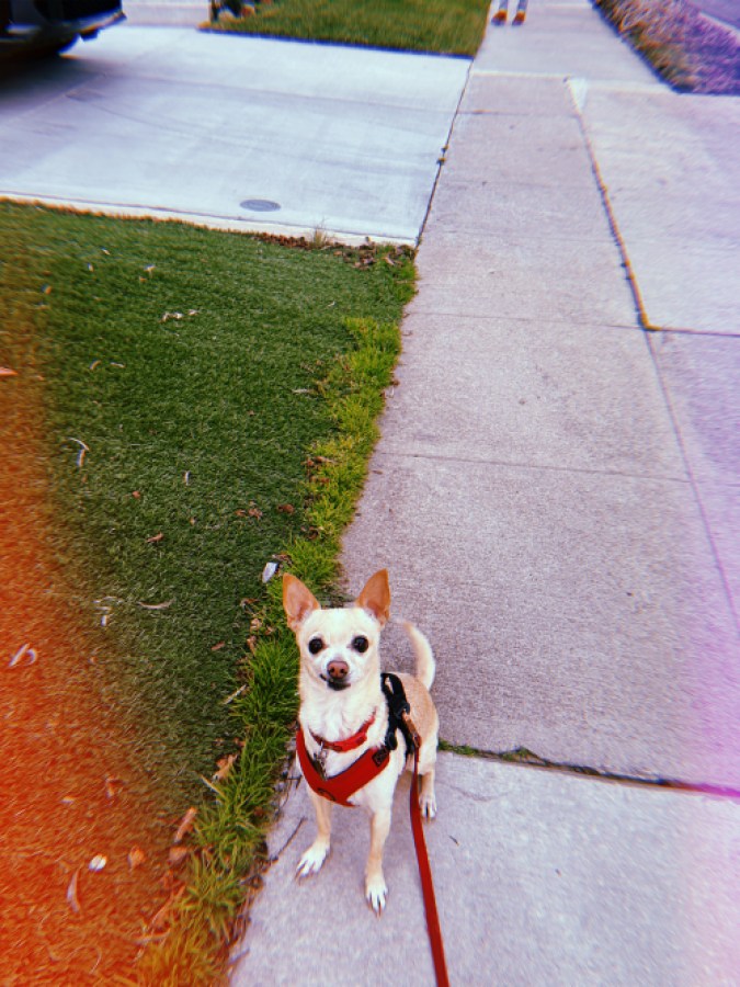 carol on a walk