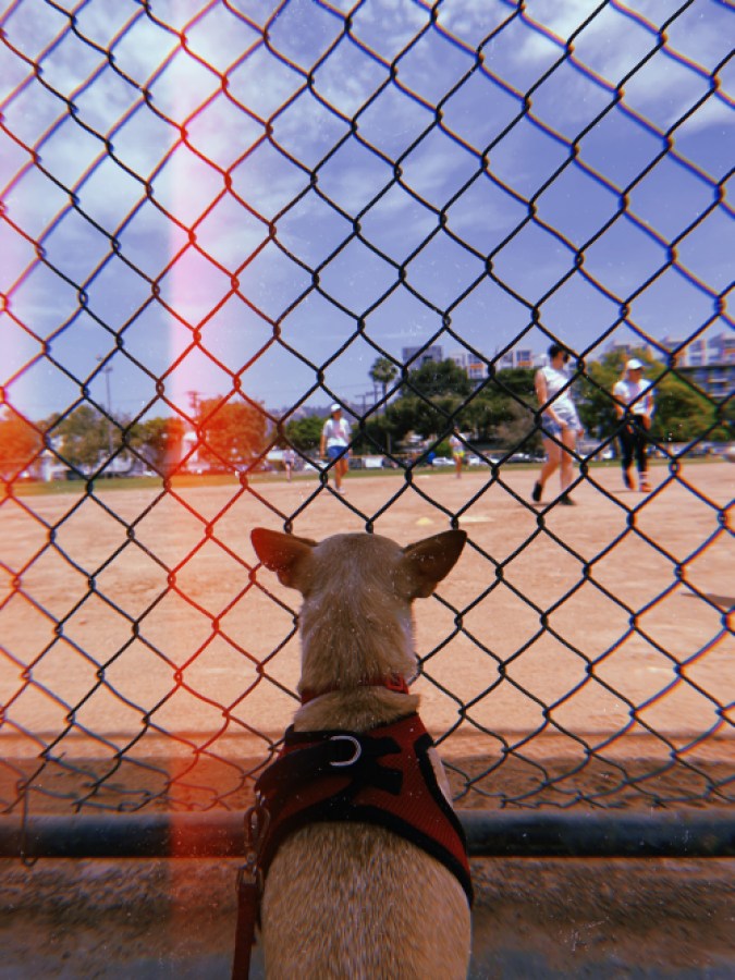 carol watching kickball