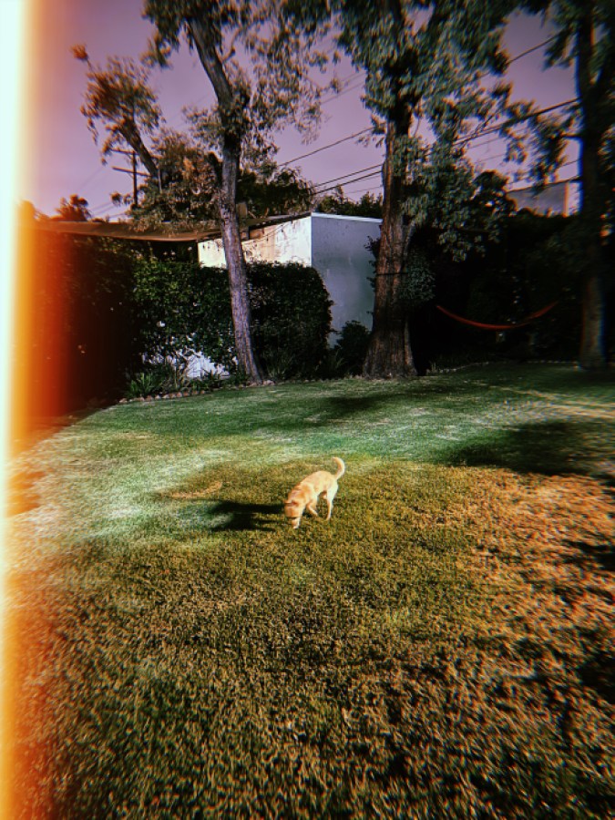 carol in the backyard