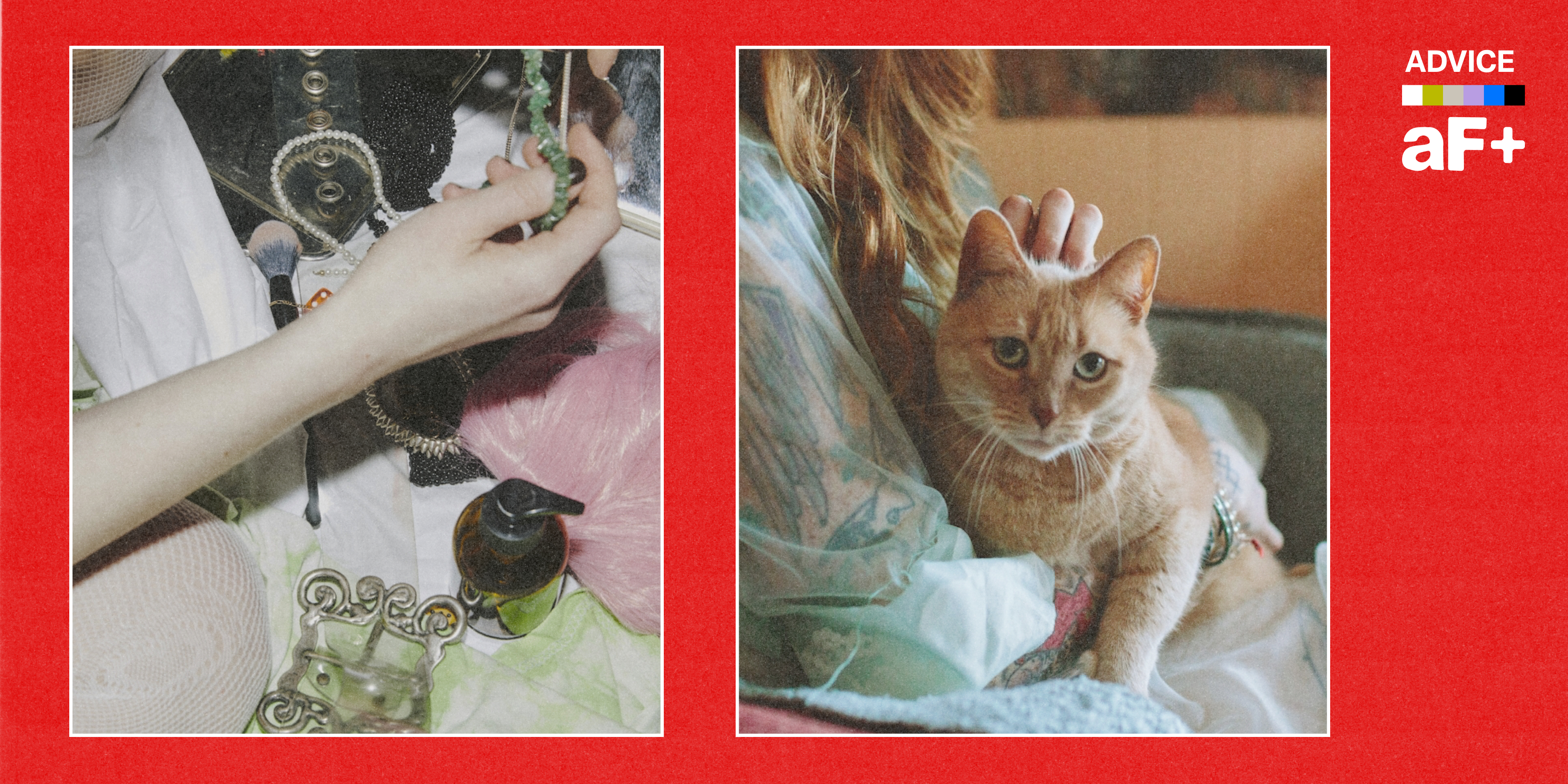 Two images. One shows someone holding a cat, the other shows a person holding some jewelry.