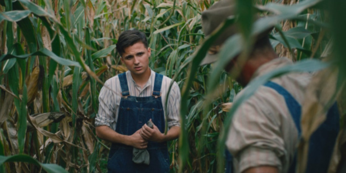 a boy in a corn field