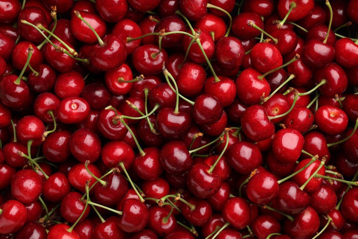 Ripe sweet cherries as background, top view