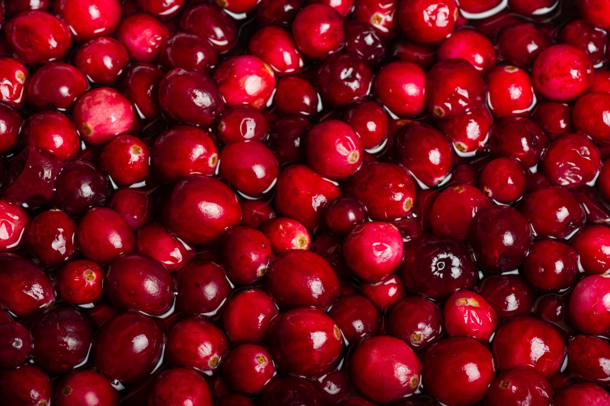 Red cranberries in sauce pot to boil down