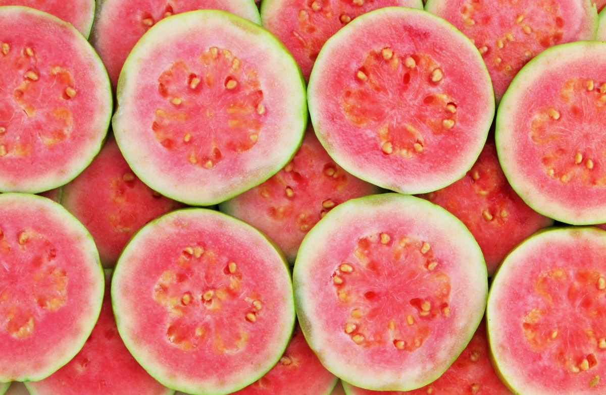 guava