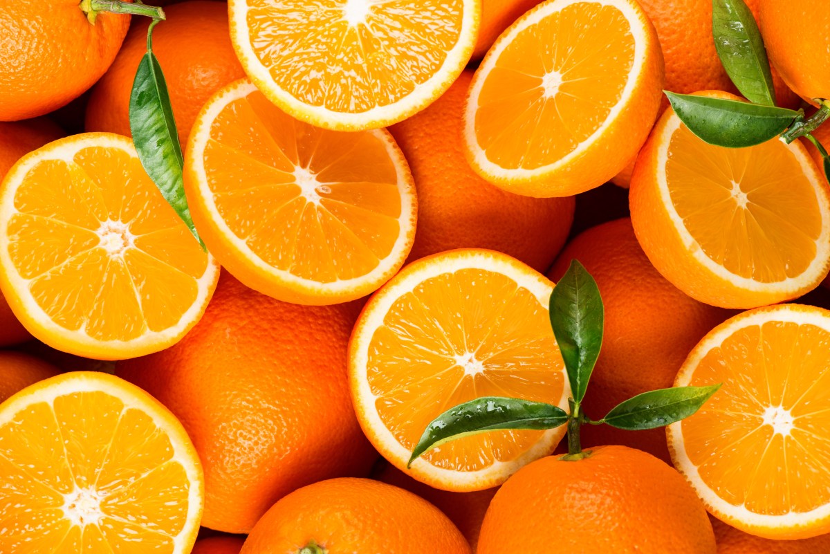 Top view of freshly harvested fruits of orange tree with green leaves. Organic oranges.