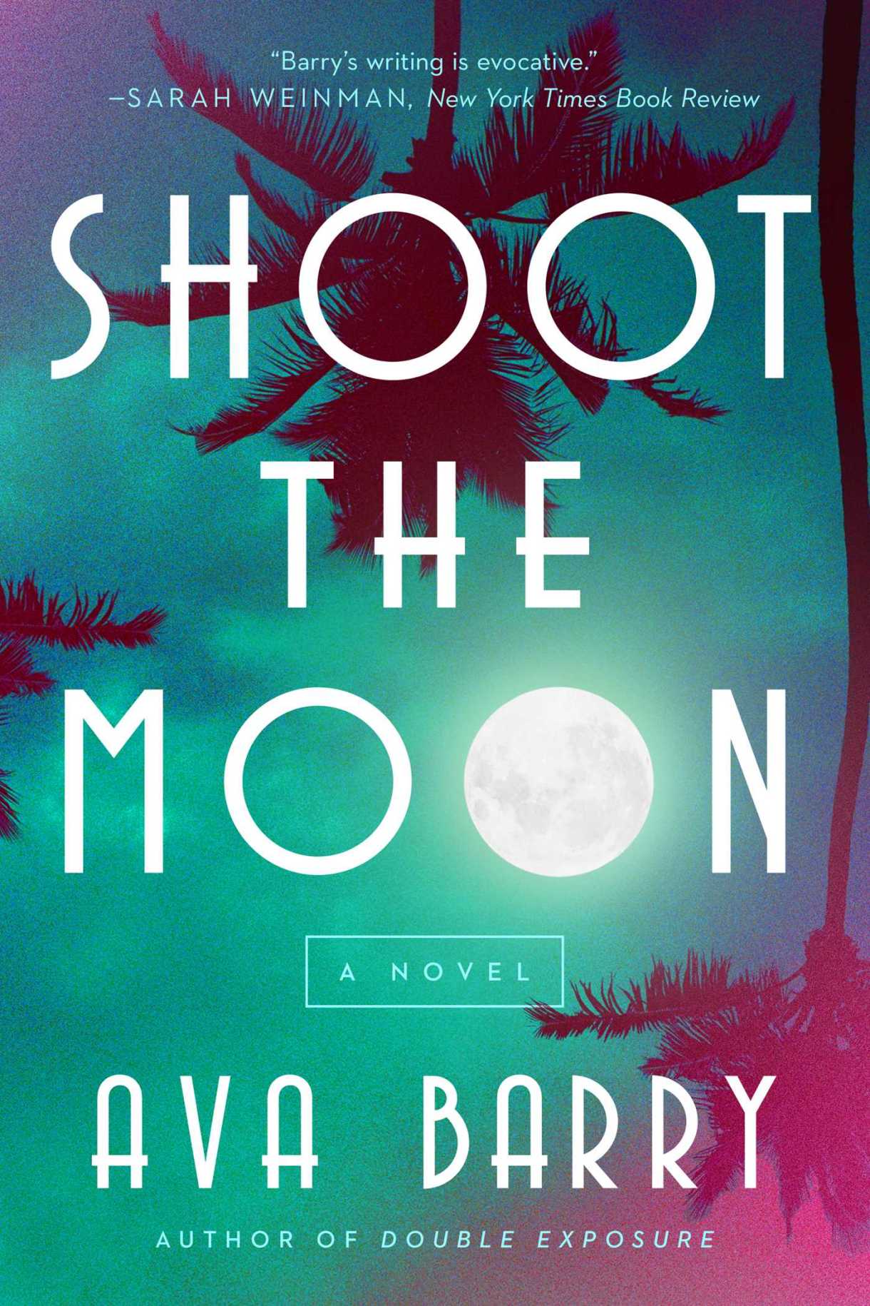 Shoot the Moon by Ava Barry